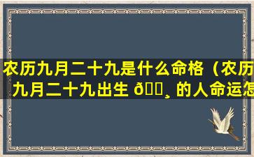 农历九月二十九是什么命格（农历九月二十九出生 🕸 的人命运怎么样）